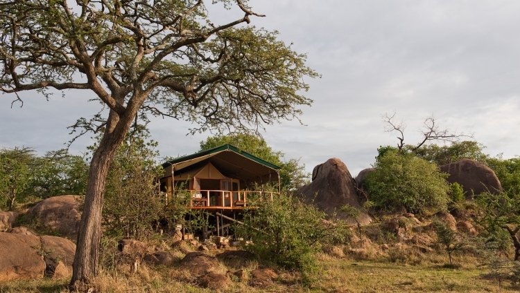 Kusini Camp, Serengeti Nationalpark